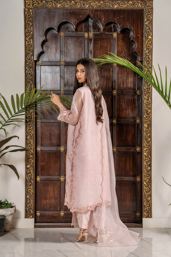 Celestial Blush – Embroidered Organza & Silk Luxury Ensemble - Muze London